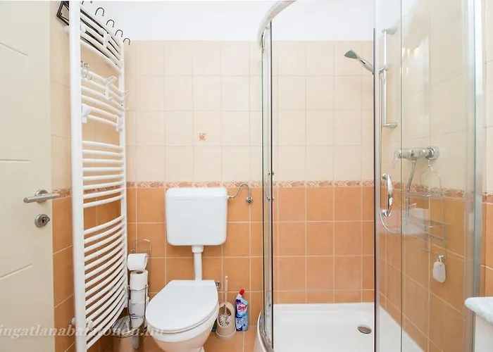 547 - Koezvetlen Vizparti, 2 Haloszobas, Kertkapcsolatos דירה בלטונוסוד